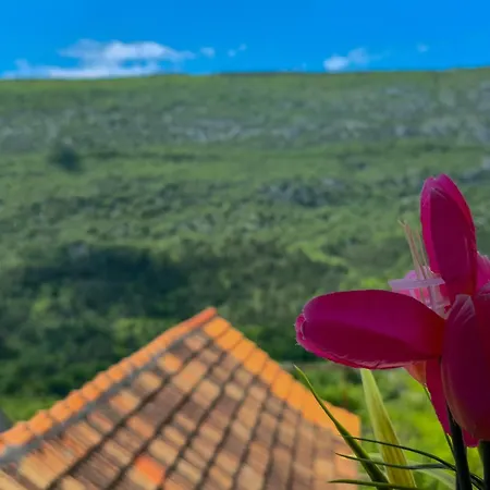 Apartment Roko Podspilje (Split)