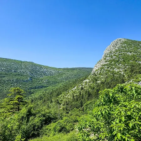 Roko Podspilje (Split)