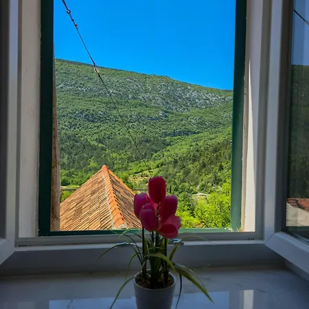 Roko Apartment